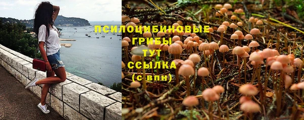 таблы Алексеевка