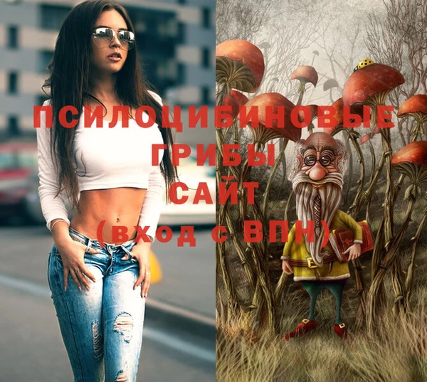 дурь Алексин