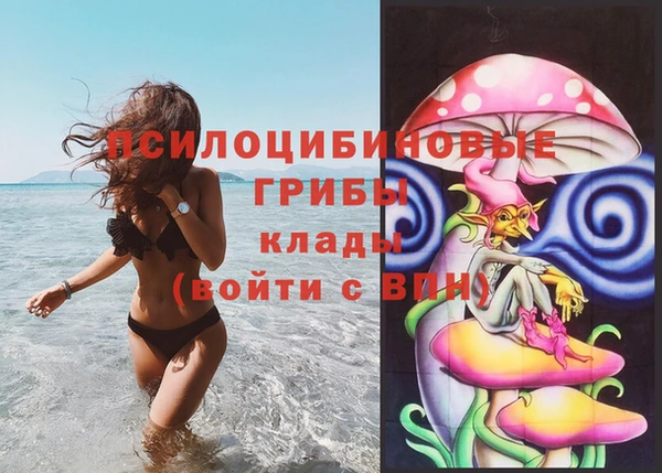 таблы Алексеевка